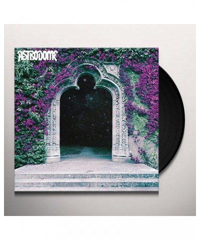 Astrodome Vinyl Record $12.39 Vinyl